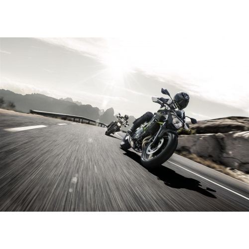 Kawasaki Z650 ABS '19