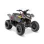 Polaris Phoenix 200