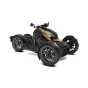Can-Am Ryker 900 ACE '24